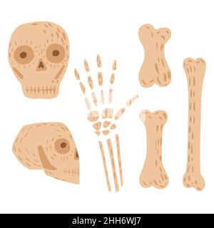 Set from skulls and bones on white background. Simple kit color pink skeleton sketch hand drawn in style doodle vector illustration. Stock Vector