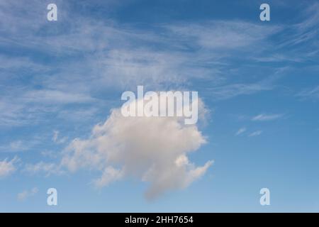 single cumulus cloud against a background of cirrus clouds. Stock Photo