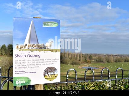 Sign asking for dogs to be kept on a lead near grazing sheep. Stock Photo