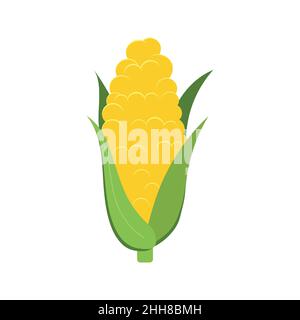 Corn cob or sweet ear with leaf isolated on white background. Stock Vector