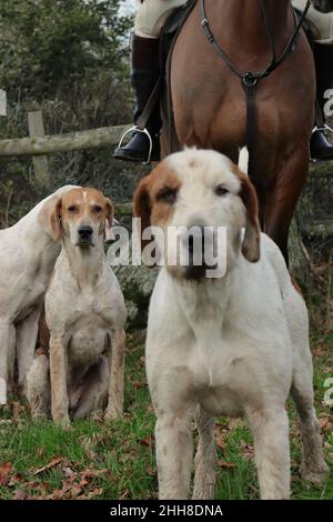 trail hunting in gloucestershire Stock Photo