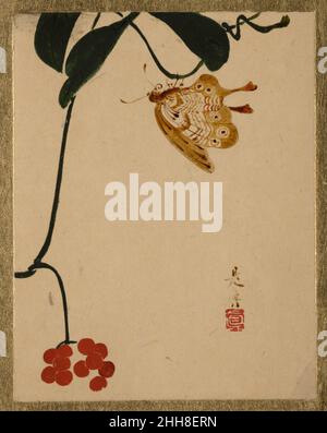 Red Berry Plant and Butterfly, Edo period (1615–1868), Japan