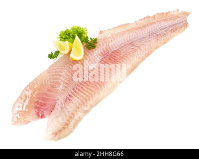 Catfish Fish Fillet on white Background Stock Photo