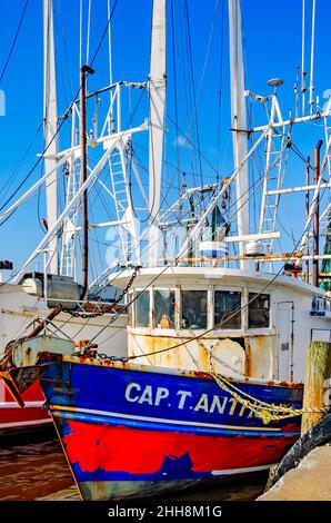 Shrimp boats are pictured, April 27, 2021, in Bayou La Batre, Alabama ...