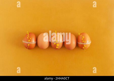 five brown easter eggs decorated with mimosa flowers, yellow background, top view Stock Photo