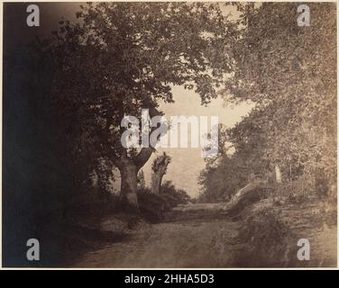 Fontainebleau, chemin sablonneux montant ca. 1856 Gustave Le Gray French Le Gray returned to the Forest of Fontainebleau in the mid-1850s with a larger camera and glass negatives. In contrast to the flickering abstraction of his earlier view (no. 62), this picture translates the experience of moving through the forest into a boldly orchestrated composition. Following the sandy road straight back from the picture plane, the viewer progresses from impenetrable shadow (probably emphasized by some providential error in exposure) to the foliage at the right, past the massive tree trunks standing li Stock Photo