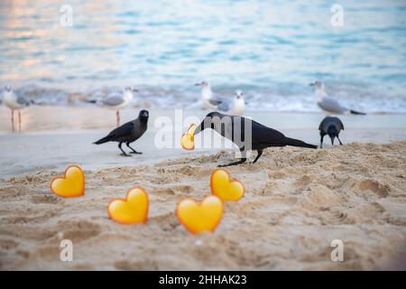 crow steals a yellow heart on the beach Stock Photo