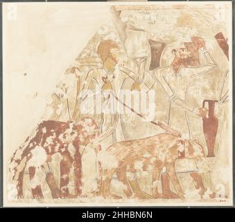 Syrians Bringing an Elephant and a Bear, Tomb of Rekhmire ca. 1504–1425 B.C. New Kingdom Nina de Garis Davies This facsimile painting copies a detail from a scene of foreignors bringing offerings in the tomb of Rekhmire (TT 100) in western Thebes. This section of the scene depicts Syrians bringing a metal ingot and a chariot (31.6.34), horses (31.3.41), exotic animals (31.6.43), vessels and weapons (30.4.83).. Syrians Bringing an Elephant and a Bear, Tomb of Rekhmire  544615 Stock Photo