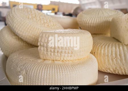 Closeup of piles of round homemade traditional cheese in the market in Georgia Stock Photo