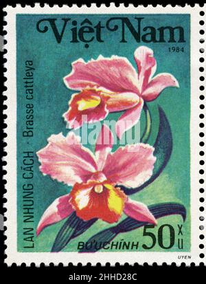 Postage stamp from Vietnam issued for the 55'th anniversary of the ...