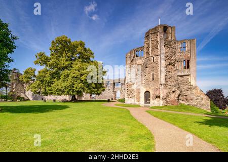 4 July 2019: Newark on Trent, Nottinghamshire, UK - The castle and grounds, freely open to the public. Leafy trees and green lawn. Stock Photo