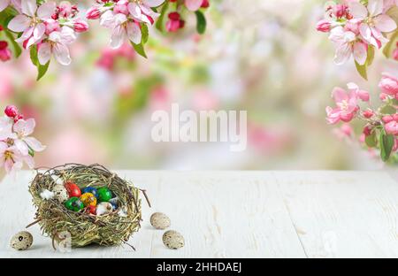 Colorful quail Easter eggs in nest on white wooden table on blurred floral bakground. Copy space Stock Photo