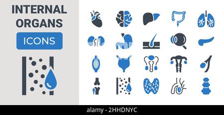 Internal Organs Icons Set Stock Vector