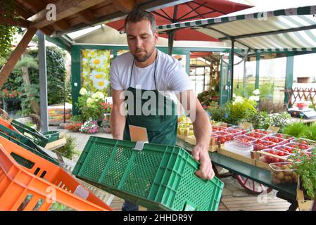 farmer sells fruit and vegetables from his own cultivation fresh from the field and from the greenhouse Stock Photo