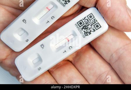 Covid Rapid Tests in hand, with "negative" result Stock Photo