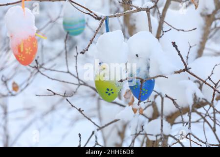beautiful easter eggs on a tree branch outdoors Stock Photo