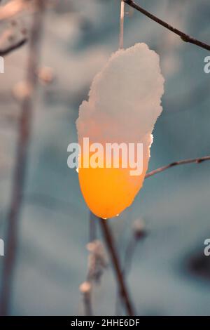 beautiful easter eggs on a tree branch outdoors Stock Photo