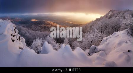 Wide shot of a magical white winter sunset at Vapenna in Small Carpathian with fresh snow over footsteps and frost covered pine trees, Slovakia Stock Photo