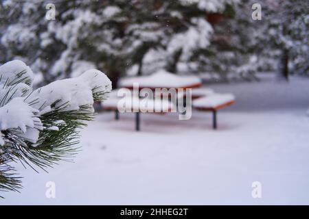 Wooden picnic table and benches under snow within pine trees at a cold winter day Stock Photo
