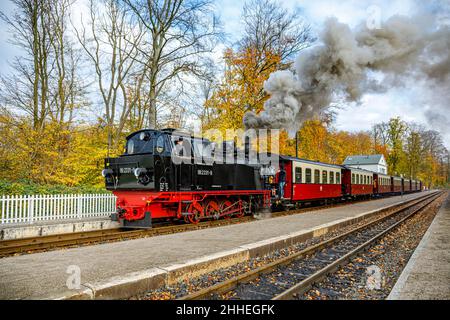 Steam Locomotive With Passenger Train Of The Baederbahn Molli Leaving Heiligendamm Station, Mecklenburg-West Pomerania, Germany, Europe Stock Photo
