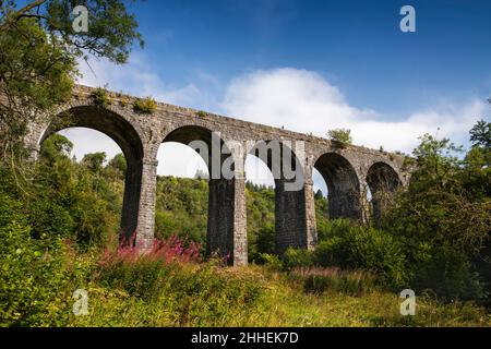 Mer021 UK, Wales, Merthyr Tydfil, Pontsarn disused railway viaduct carrying Taff Trail over Taf Fechan valley Stock Photo