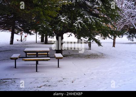 Wooden picnic table and benches under snow within pine trees at a cold winter day Stock Photo