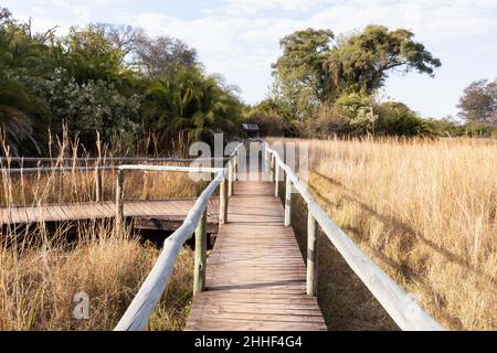 Wooden walkway across wetlands. Stock Photo