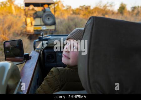 A boy in a hat and coat in a jeep at sunrise on a safari drive. Stock Photo