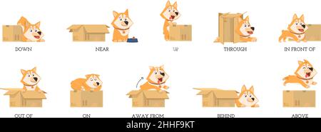 English preposition. Funny study prepositions, cartoon dog and box. Foreign language learning materials, grammar child education decent vector poster Stock Vector