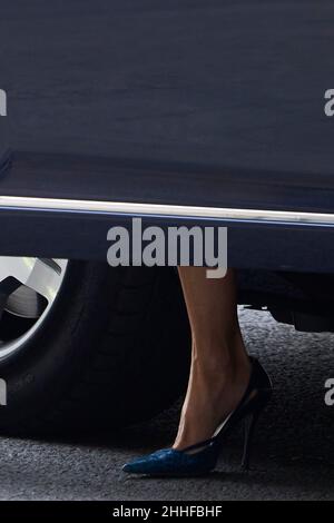 Madrid, Madrid, Spain. 24th Jan, 2022. Queen Letizia of Spain attends the deilvery the Medal of Honour of the Royal Academy of Fine Arts of San Fernando to the Hispania Nostra Association at Royal Academy of Fine Arts of San Fernando on January 24, 2022 in Madrid, Spain (Credit Image: © Jack Abuin/ZUMA Press Wire) Credit: ZUMA Press, Inc./Alamy Live News Stock Photo