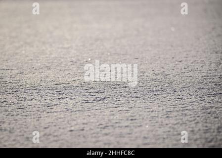Selective focus photo. Snow covered ground. Stock Photo