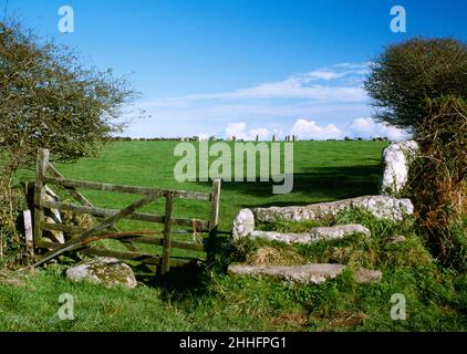 Boleigh Stone Stile & 5-barred wooden gate giving access to field containing Merry Maidens Stone Circle, Boleigh, Cornwall, England. Stock Photo