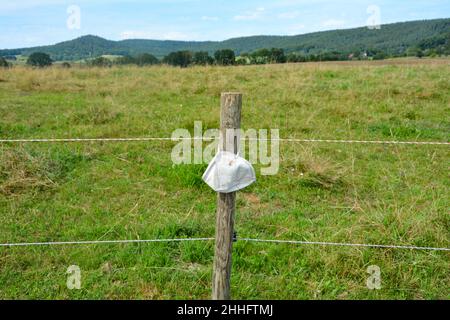 Respirator mask hanging on a wooden pole in the green nature, with a bee on the mask Stock Photo