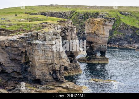 Yesnaby Castle sea stack looking south on Yesnaby coastline on west coast of Mainland Orkney in Scotland Stock Photo