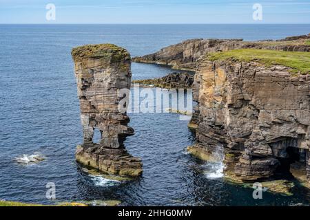 Yesnaby Castle sea stack looking north on Yesnaby coastline on west coast of Mainland Orkney in Scotland Stock Photo