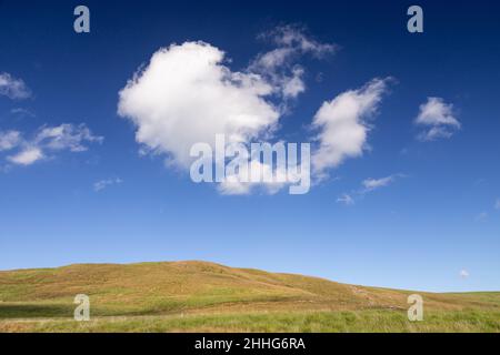 Summer cumulus cloud over a grass meadow Stock Photo