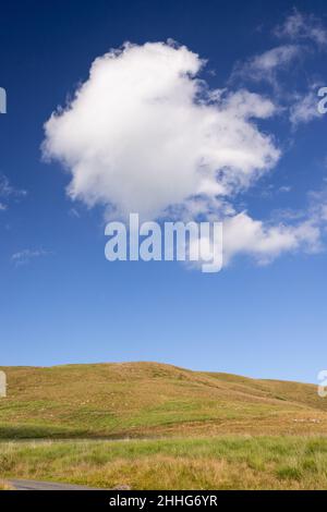 Summer cumulus cloud over a grass meadow Stock Photo