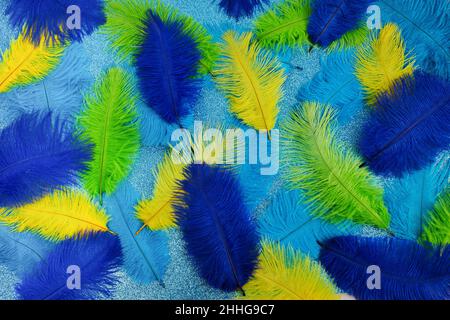 Brazilian background from feathers in the Brazilian ethnic color. Rio