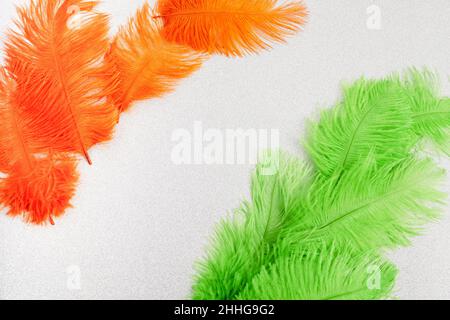 indian flag colors from feathers concept background for republic day Stock Photo