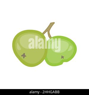 Vector illustration of a two-colored pomegranate Stock Vector