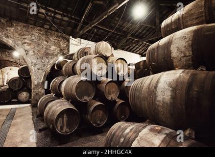 Old wooden barrels in wine cellar Stock Photo