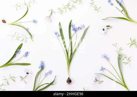 Spring frame of small flowers and daisy, floral arrangement Stock Photo