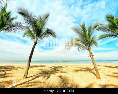Coconut palm trees on a beautiful, empty and tranquil beach in Lo De Marcos, Nayarit, Mexico. Stock Photo