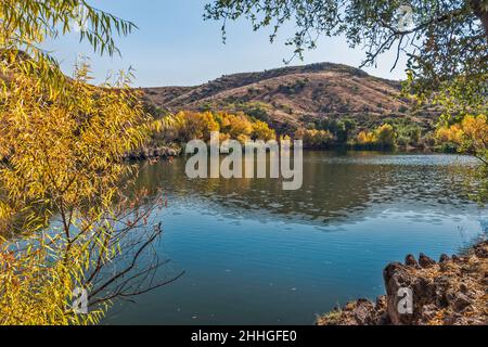 Pena Blanca Lake, willow tree in autumn, Atascosa Mountains, Coronado National Forest, Arizona, USA Stock Photo