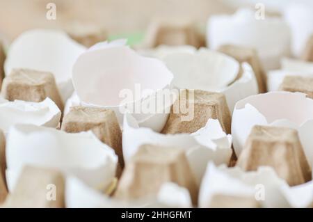 Cracked egg shells in a carton container. Close up. Stock Photo