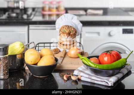 The cat chef sits at the kitchen table in a chefs hat. Stock Photo