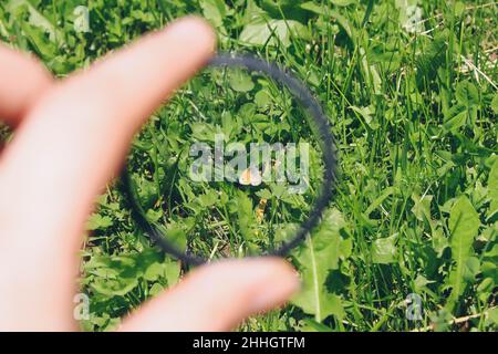 Hand holds a circular polarizer filter on summer landscape background. Stock Photo