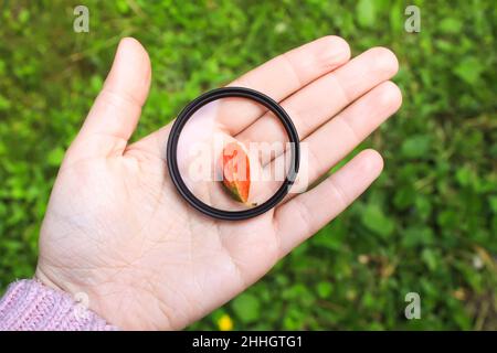 Hand holds a circular polarizer filter on summer landscape background. Stock Photo