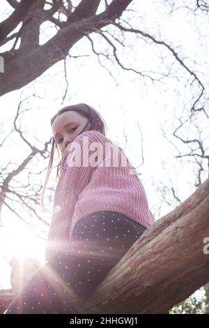 Low angle view of girl sitting on tree branch Stock Photo