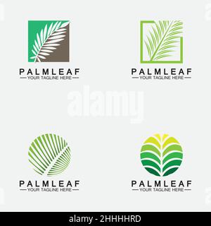 Set Tropical Palm leaf logo vector design template Stock Vector